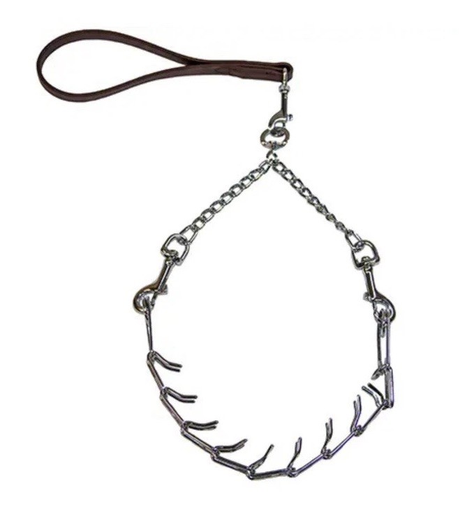 Fullblood Goat Prong Training Collar for Bucks