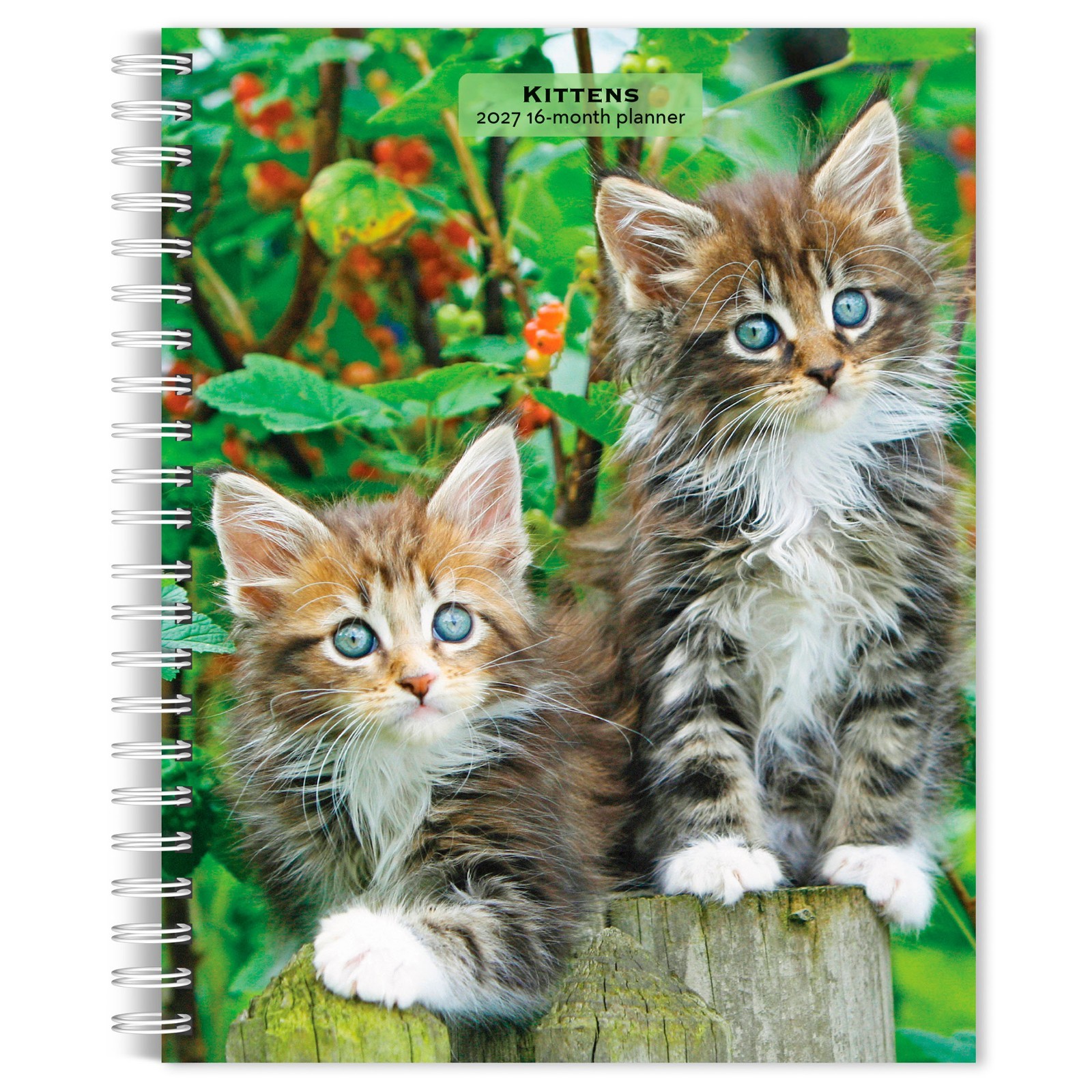 Kittens | 2027 6×7.75″ Spiral-Bound Wire-O Weekly Engagement Planner Calendar