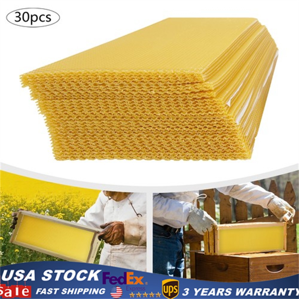 30Pcs 7.7*16.3″ Honeycomb Wax Frames Beekeeping Foundation Honey Bee Hive Tool.