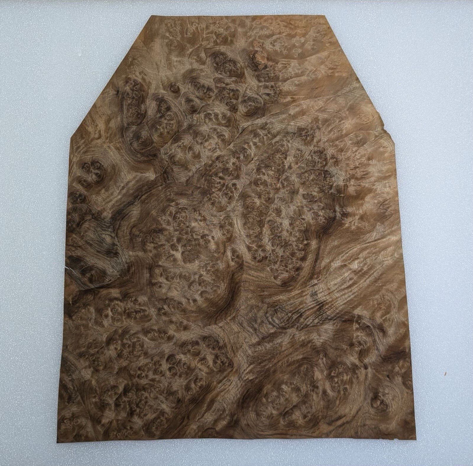 Walnut Burl Wood Veneer, 14.25” W x 18.25 “ L , Raw No Backing, 1/42” Thick