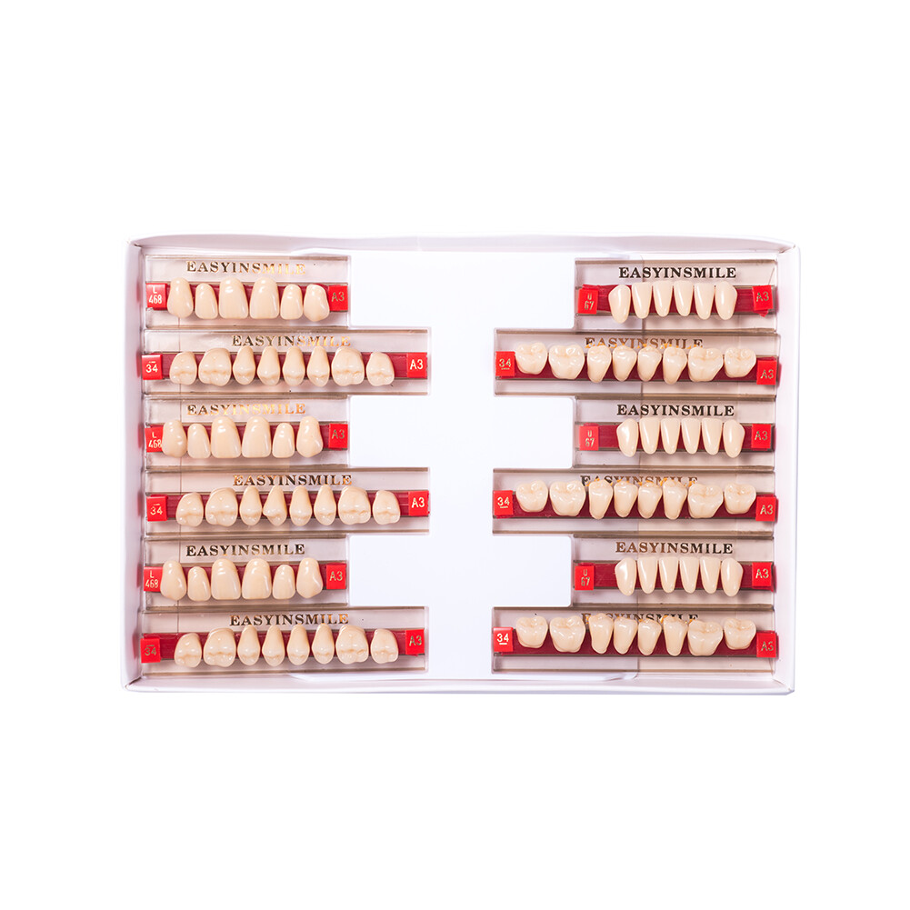 Dental Acrylic Resin Denture Teeth False DIY Full Set Anterior Posterior A1A2A3
