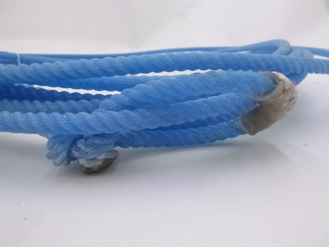 30′ Rattler GT4 Head Rope 3/8″ Soft Blue