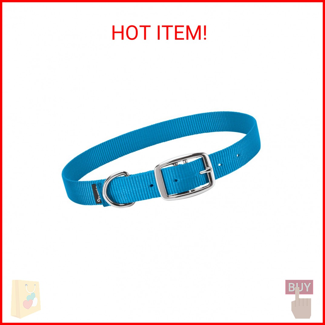 Weaver Leather Livestock Goat Collar, Hurricane Blue, Small