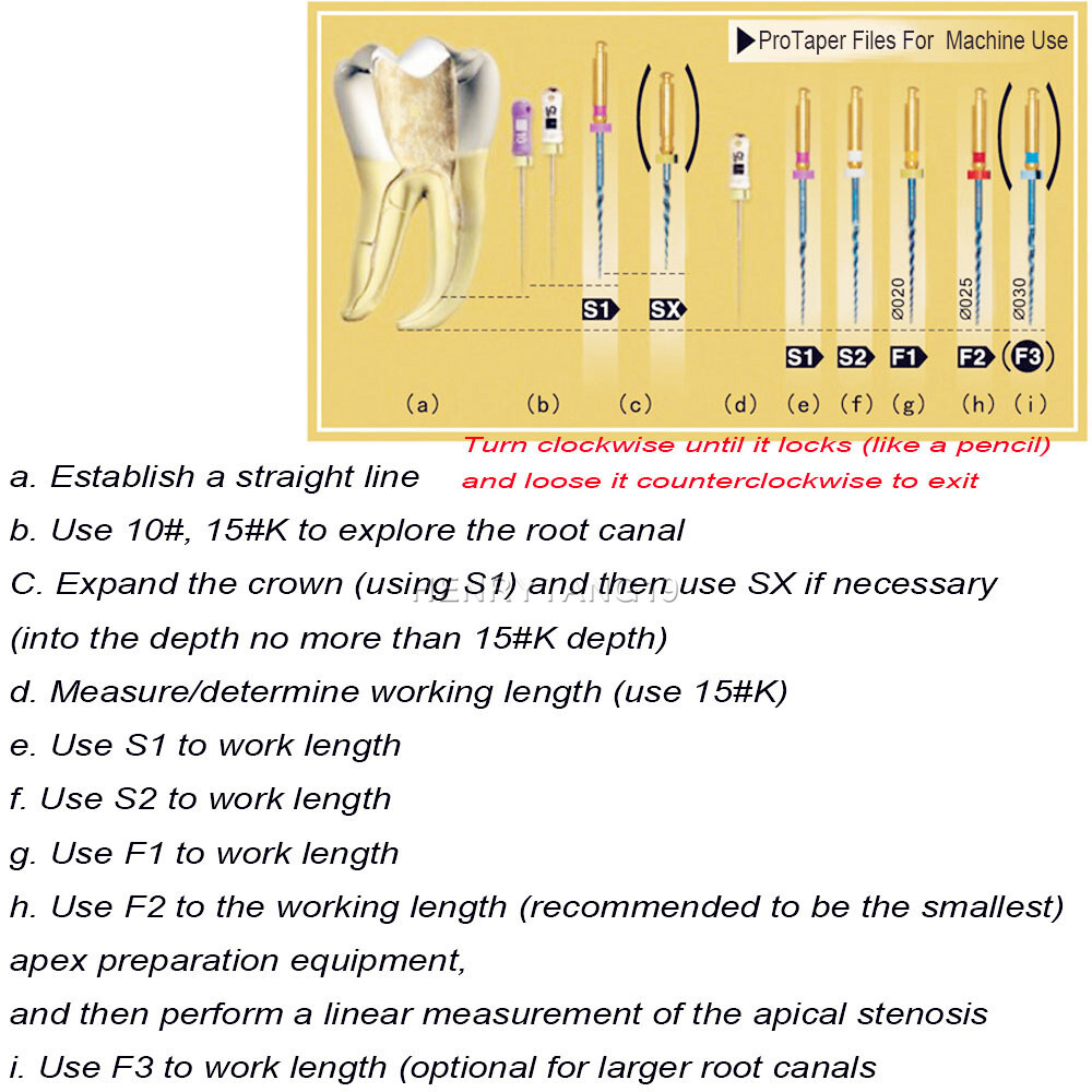 21/25/31mm SX-F3 Dental Endodontic Engine Use Root Canal Endo Niti Rotary Files