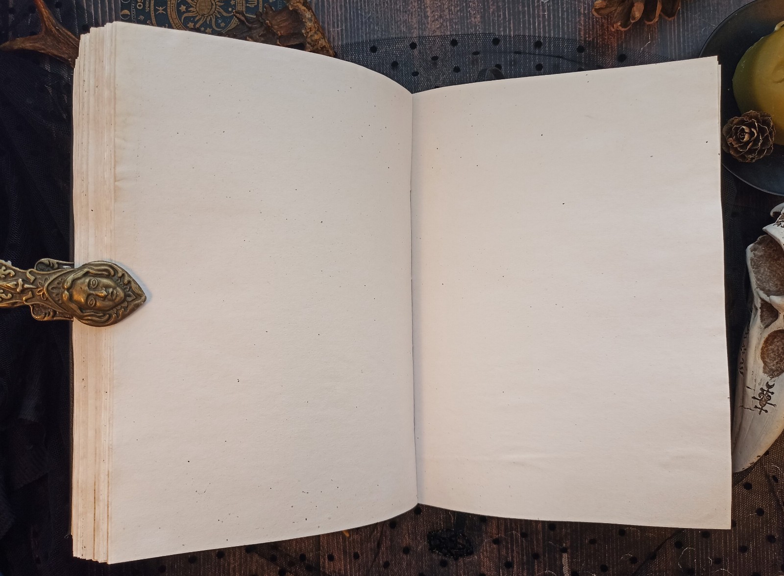 Book of Shadow Witch Grimoire Journal Blank Witchcraft Raven 8×6 in 600 Pages