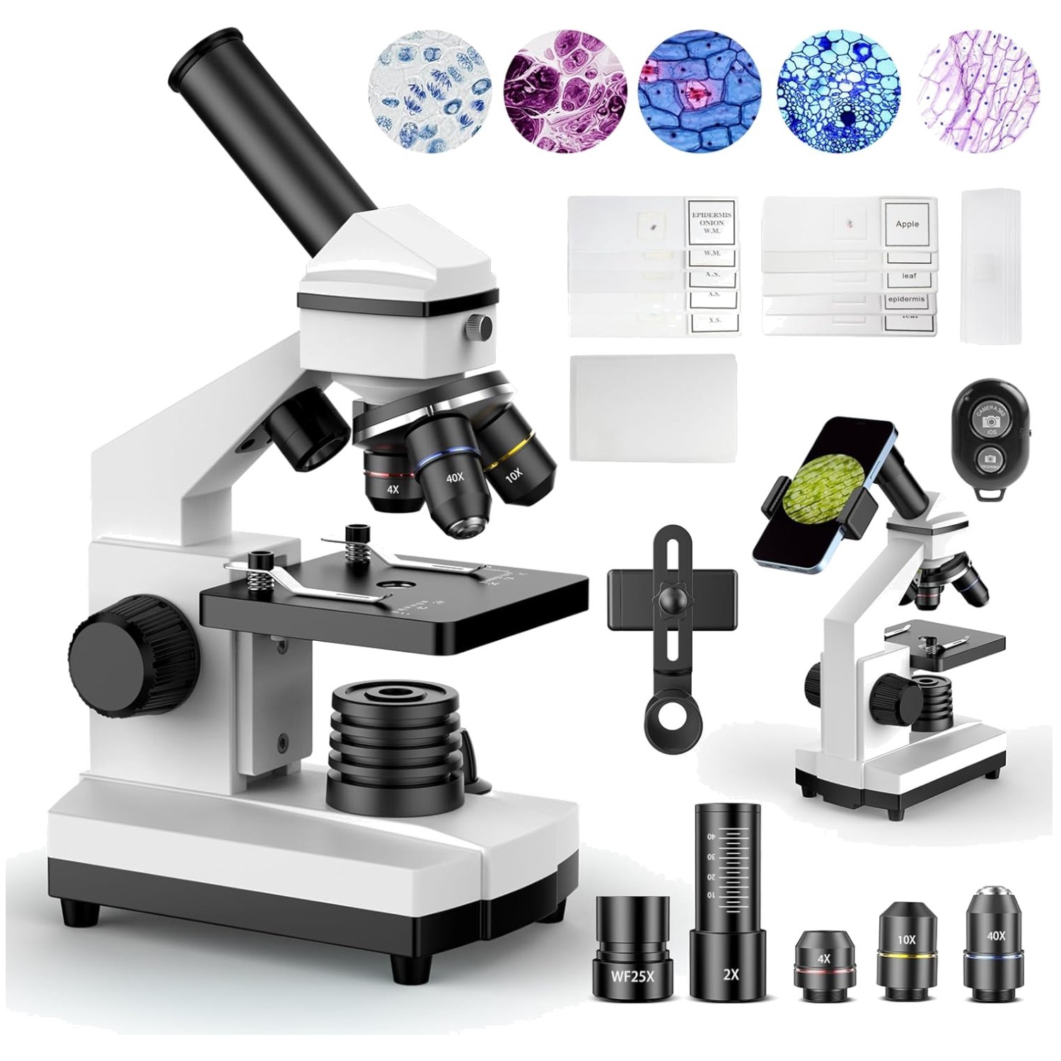 Versatile High-Power Microscope for Teens, Adults & Kids 10+