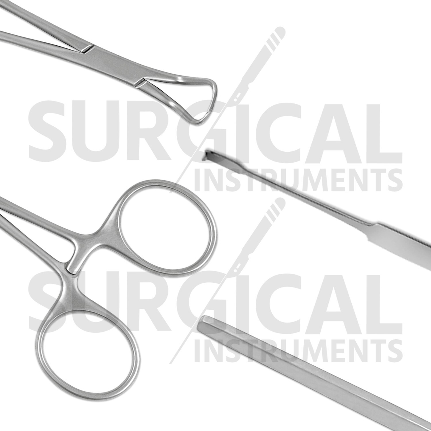 24 Pcs Cat Spay/Neuter Feline Set Surgical Veterinary Instrument Kit-2 German Gr