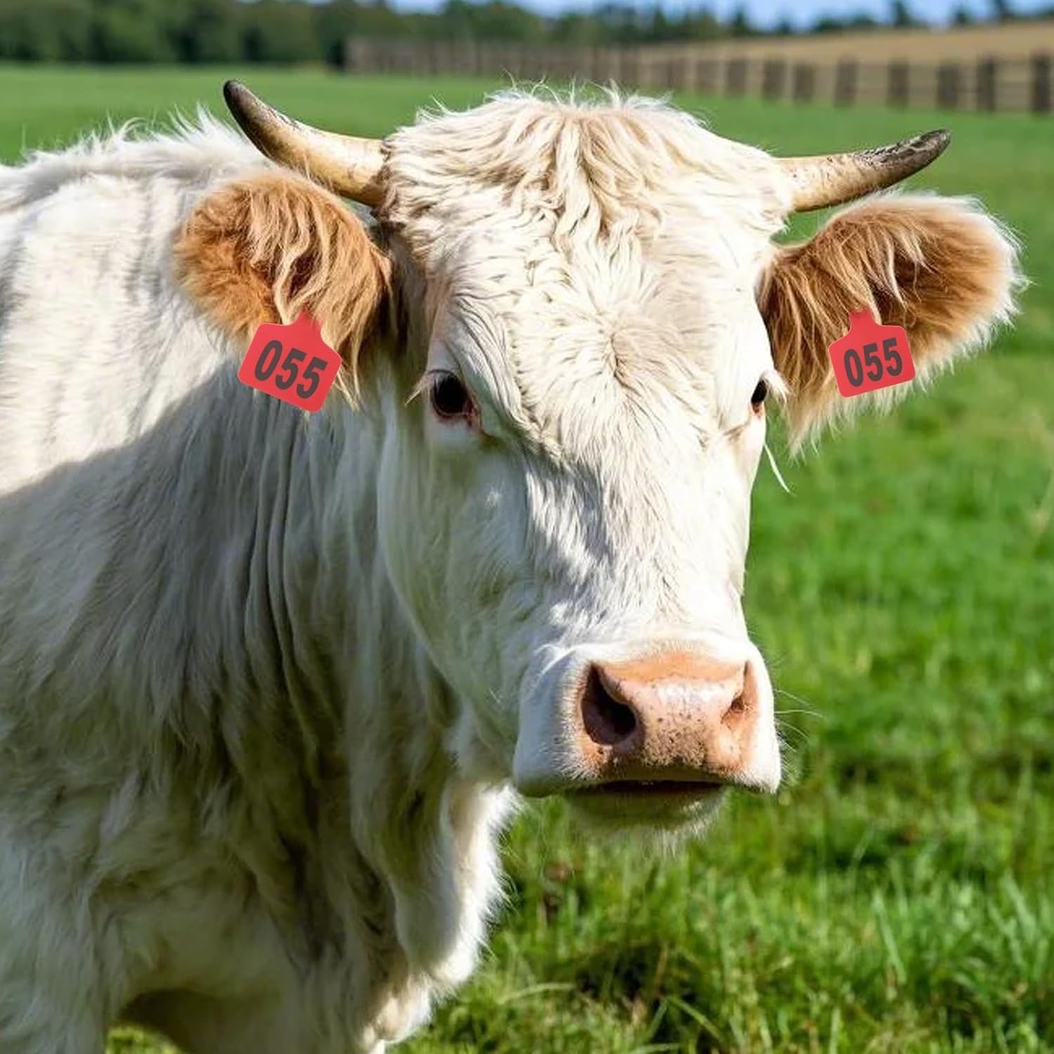 Cattle Ear Tag Applicator Kit with 100 Small Red Tags for Animal Identification