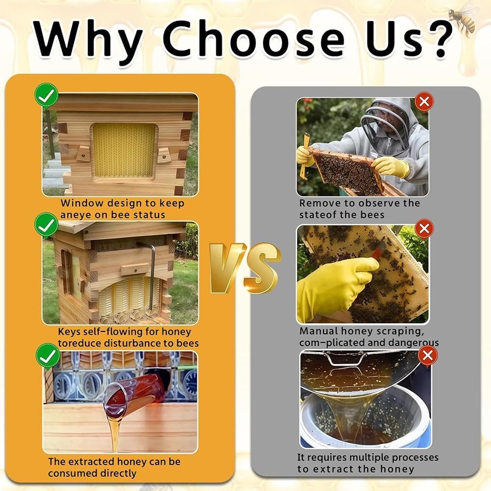 Large Size Bee Hive Beekeeping Kit Wooden bee hive House with 7 Auto Ooze Frames