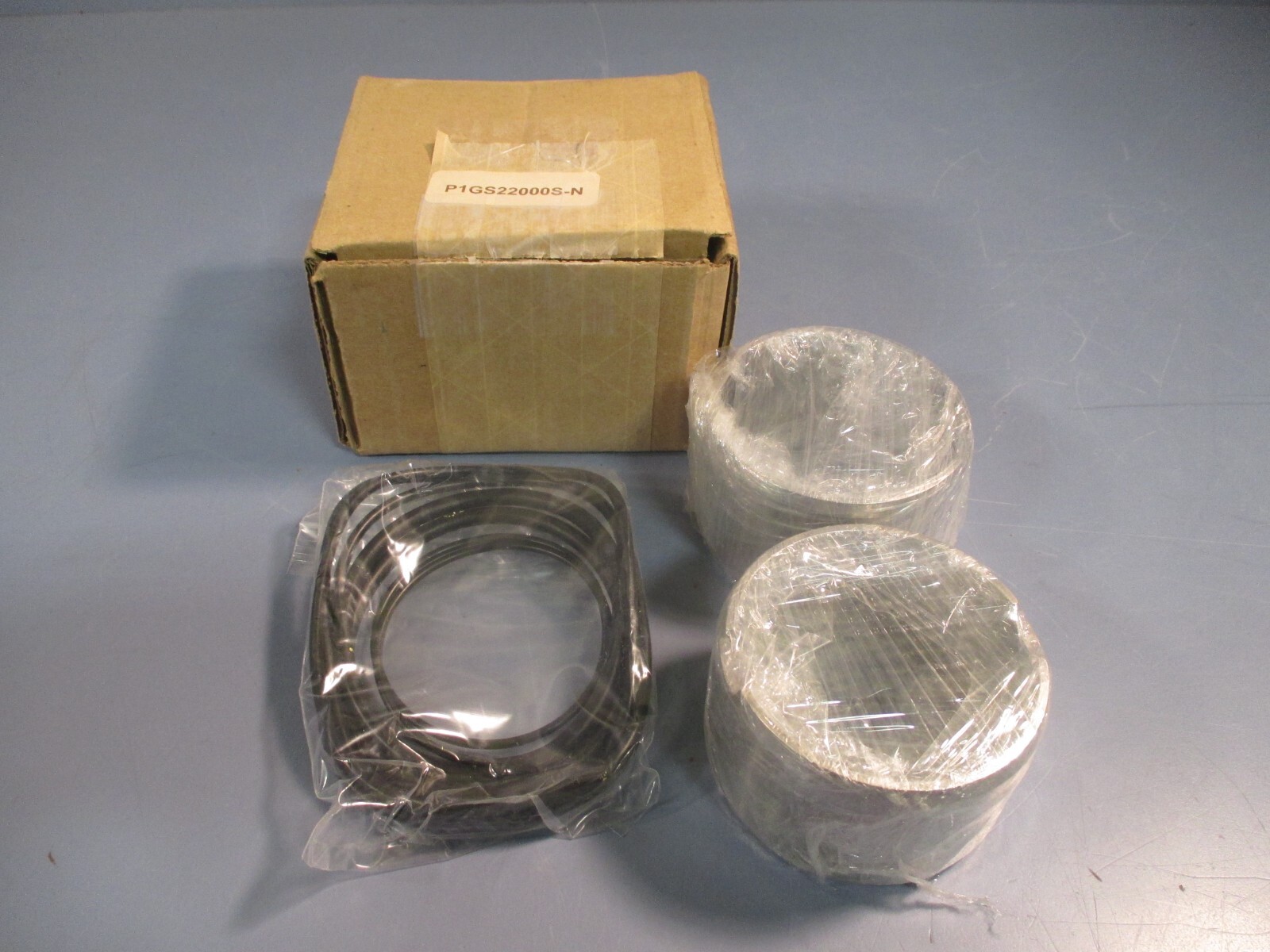 Single O-Ring Seal Kit Pump w/Sleeve Buna-N P1GS22000S-N