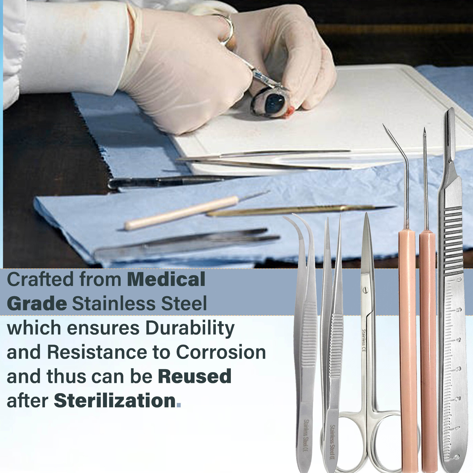 NEW University Biology Dissection Kit with Zipper Case Student Science Education
