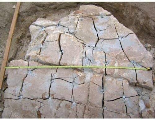 Dexpan 11 Lb Expansive Demolition Grout For Silent Concrete Rock Breaking