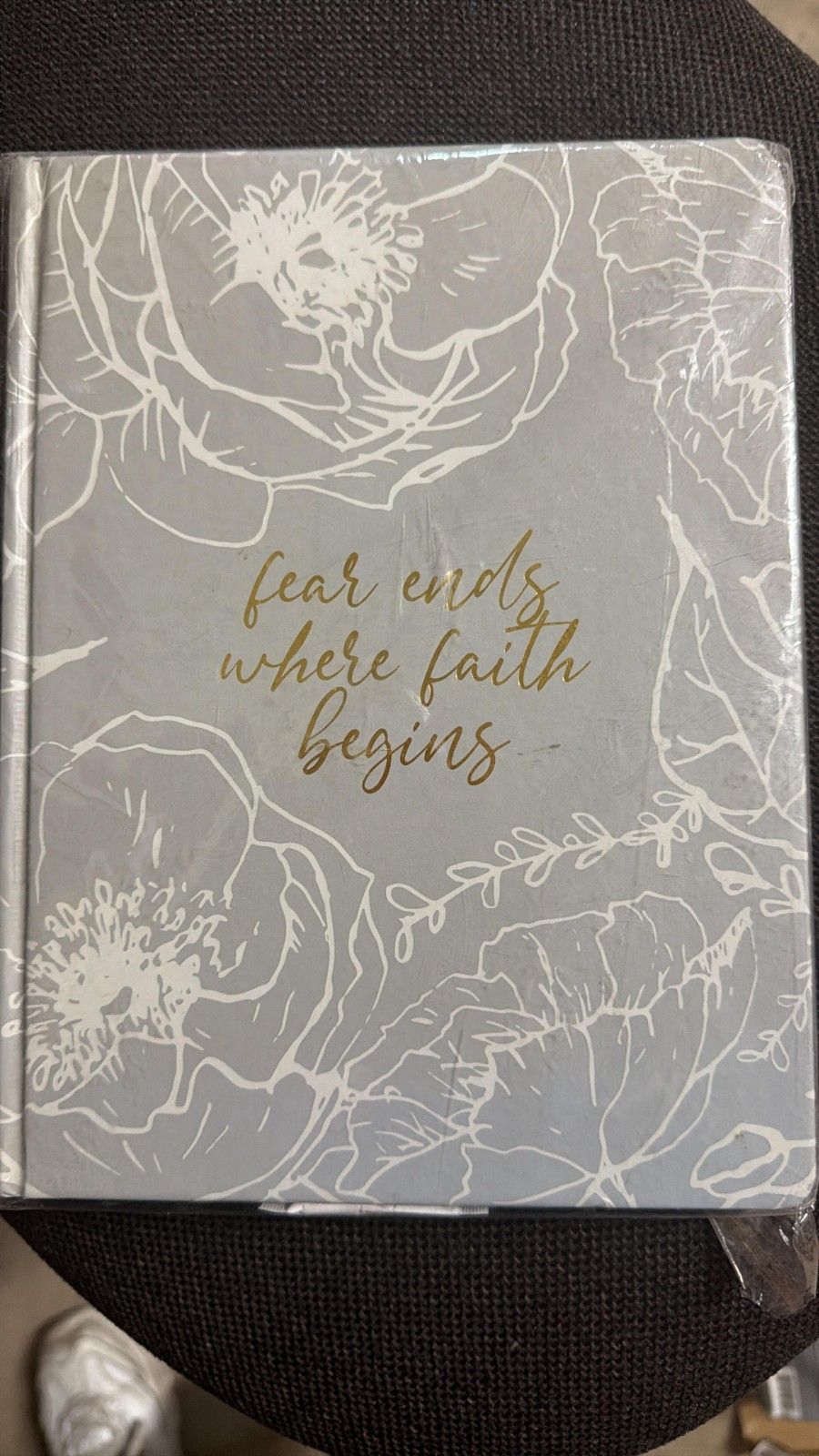 Oliver and Co. Fear ends Where Faith Begins Journal.