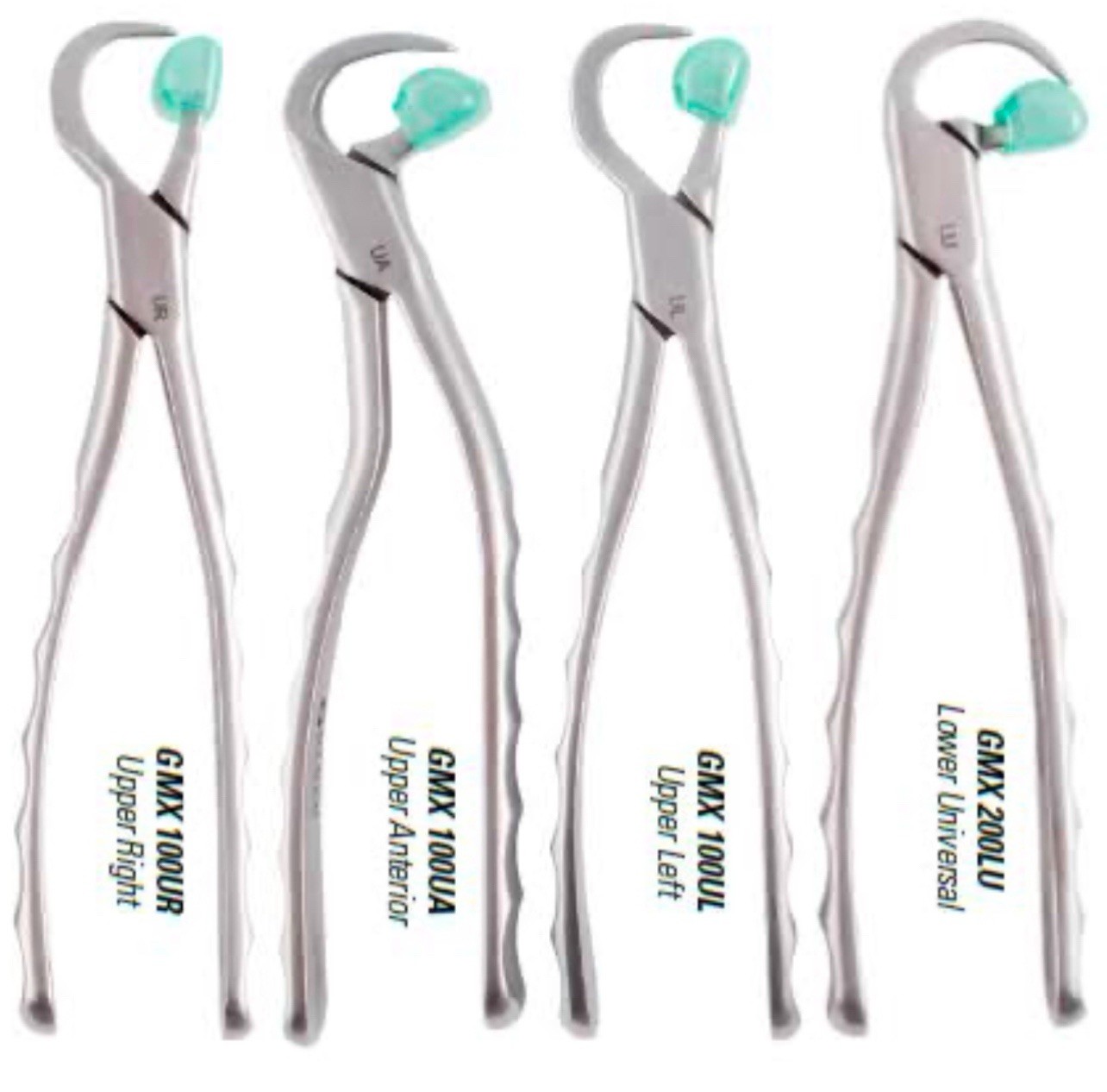 Premium Dental Extraction Forceps Standard Series Set of 4 Pcs (Free 25 Bumpers)