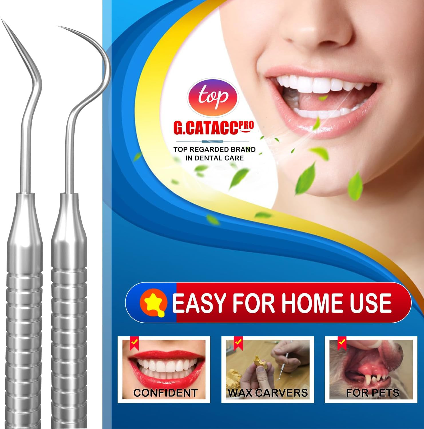 Dental Tools, Dental Pick for Teeth Cleaning, Stainless Steel Hygiene Kit with