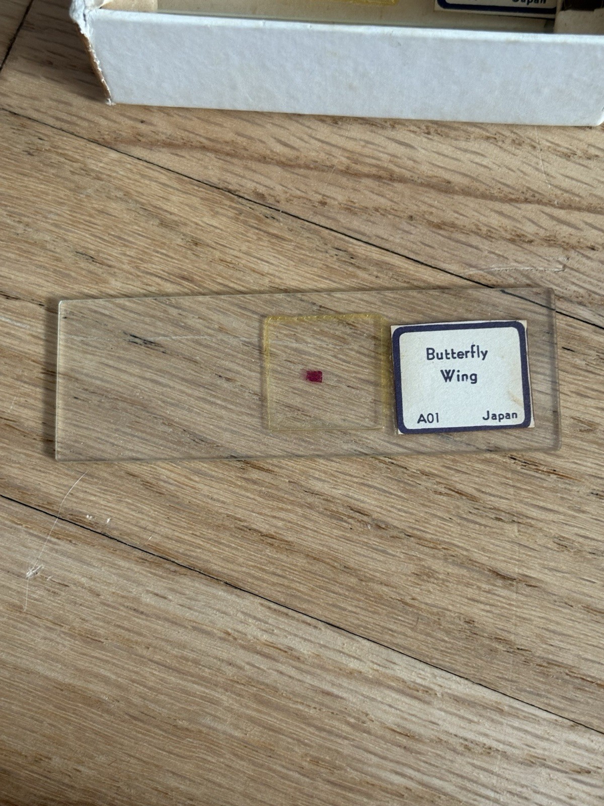 Prepared But Slides for Science Education