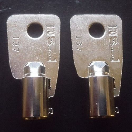 GC17 2 NEW KEYS Sentry Pistol Safe Code: GC17 Handgun Key Models QAP1E & QAP1BE