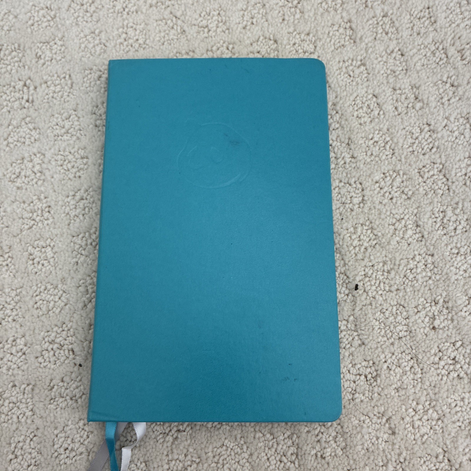 Panda Planner Undated Daily Planner Daily, Weekly, Monthly Teal Hardcover