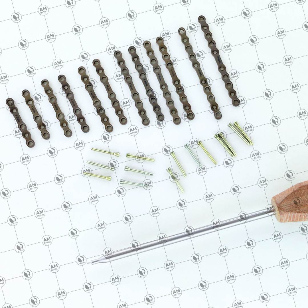 2.0mm Ṽeterinary Straight Plates 5-10 Holes with Locking Screws 83 Pcs Set Ti