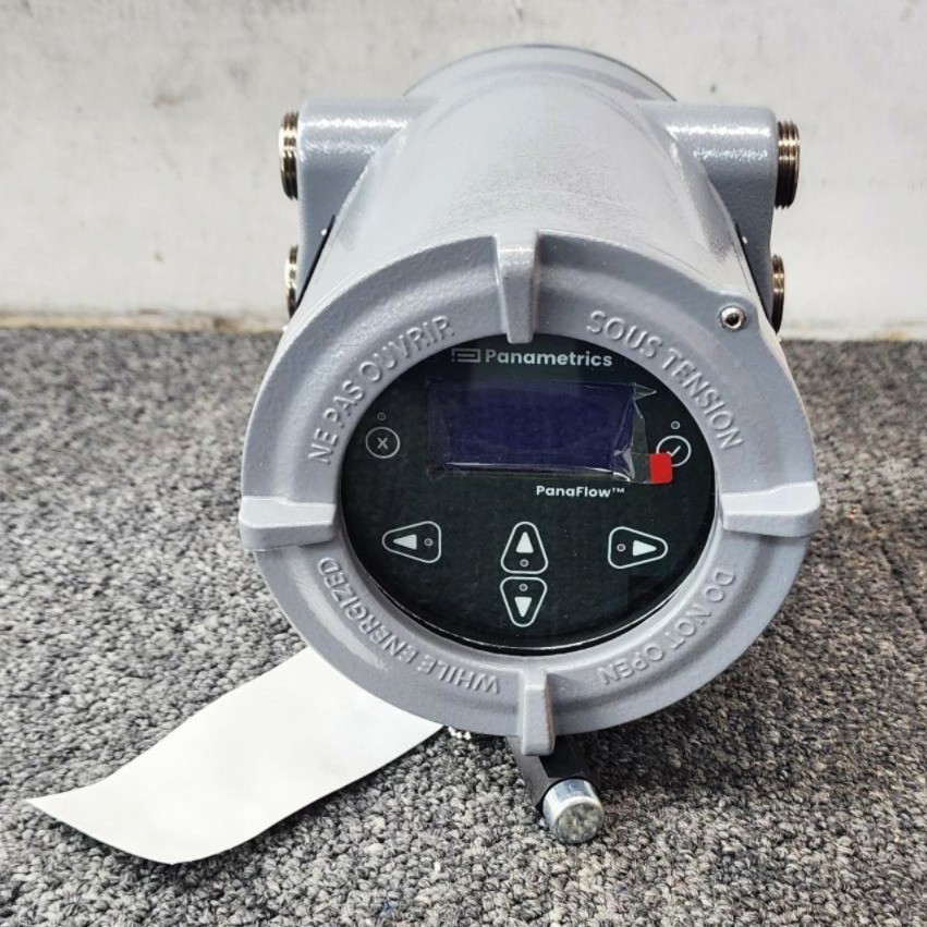 Panametrics Panaflow Transmitter, Model XMT1000