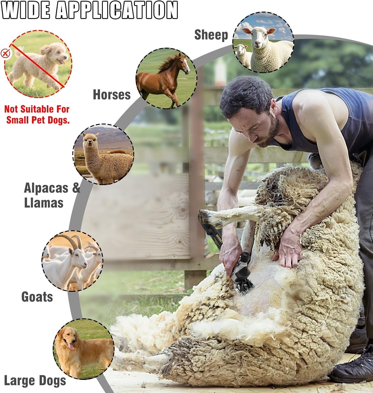 Sheep Shears,1000W Professional Heavy Duty Electric Animal Grooming Clippers