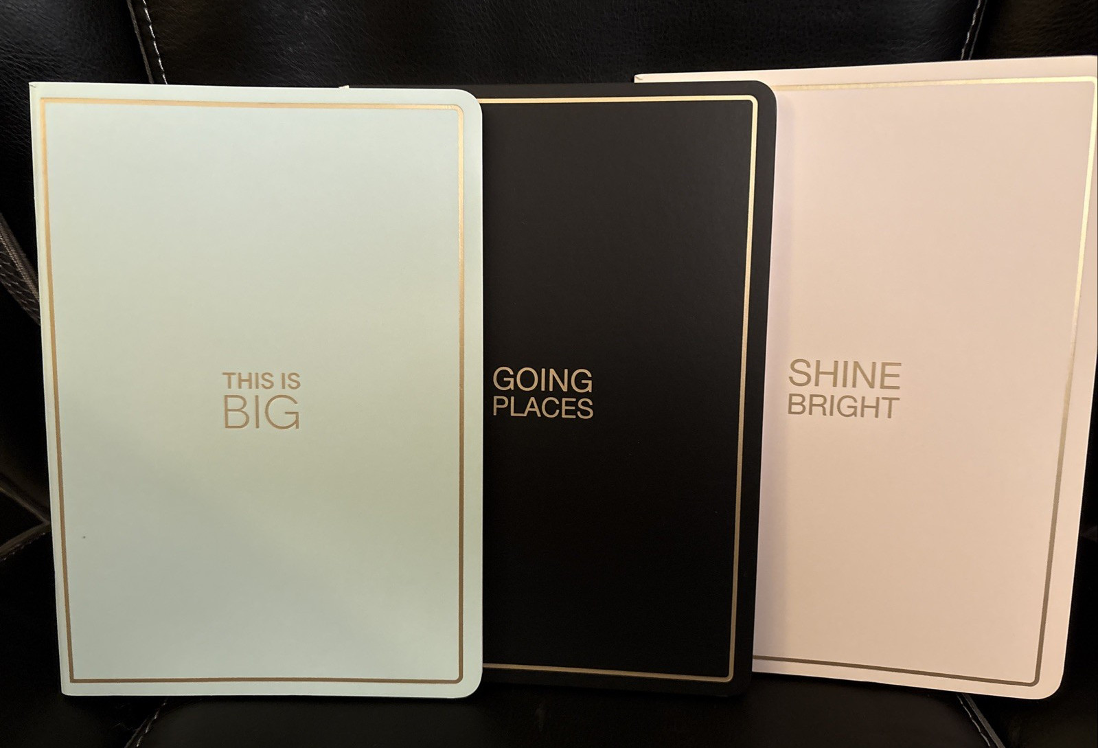 Lot of 2- Off ice Depot-3 pack of Journals, 40 pages each