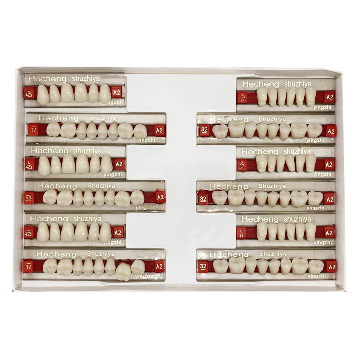 84 Pcs False Teeth Dental Complete Acrylic Resin Denture Teeth, 3 Sets A2