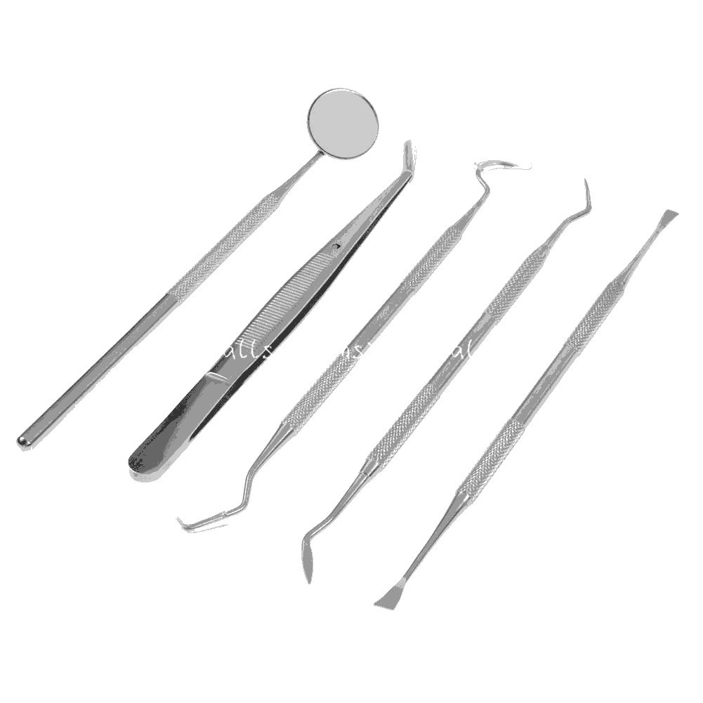 Dental Set Dentist Teeth Oral Clean Tools Probe Tweezers Stainless Steel Tools