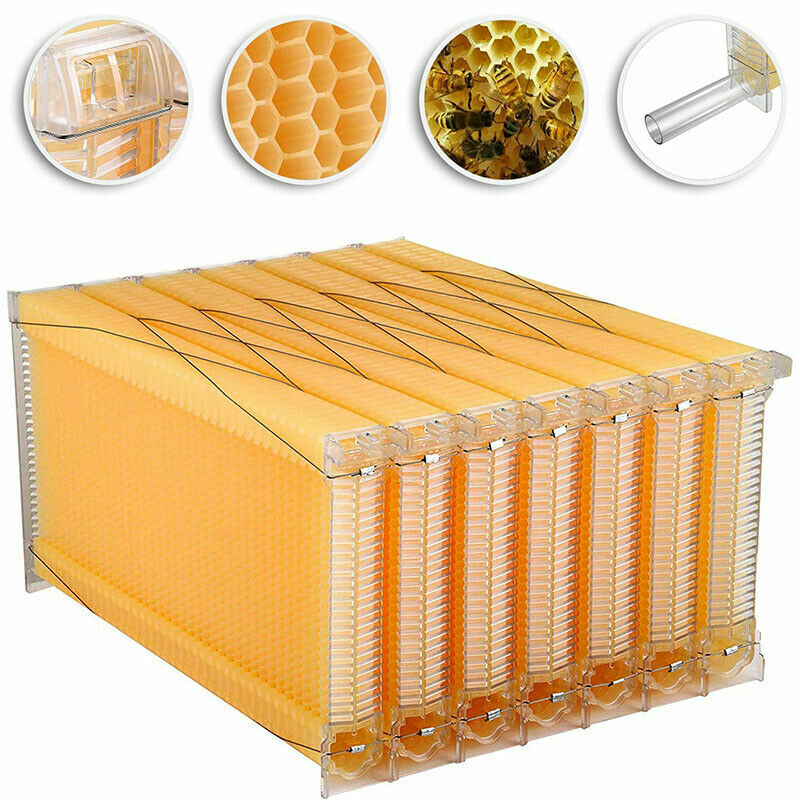 7Pcs Auto Seeping Honey Hive Beehive Frames + Beekeeping Wooden Cedarwood House