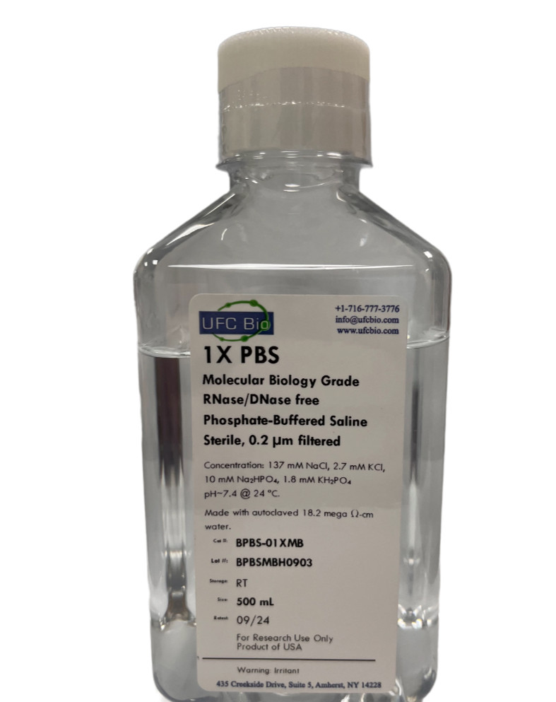 1X PBS (Phosphate Buffered Saline), pH 7.4 – Molecular Biology Grade – 500 mL
