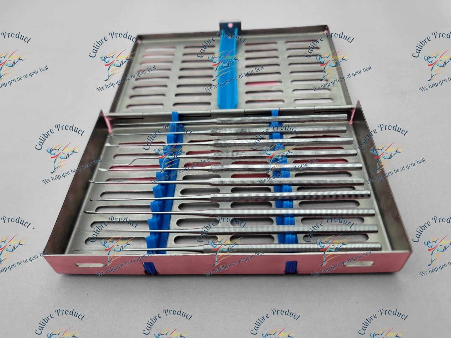 Shea Ear Operation Micro Repositor Set of 10 Pcs Surgical-ENT With Sterlize Box