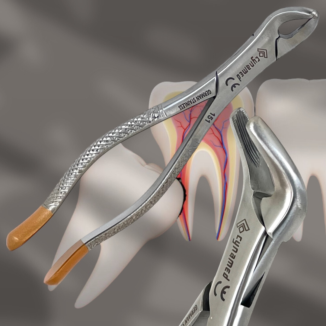 151 Extraction Forceps Mandibular Lower Upper Incisor Root Tooh Surgery-ArtLaB