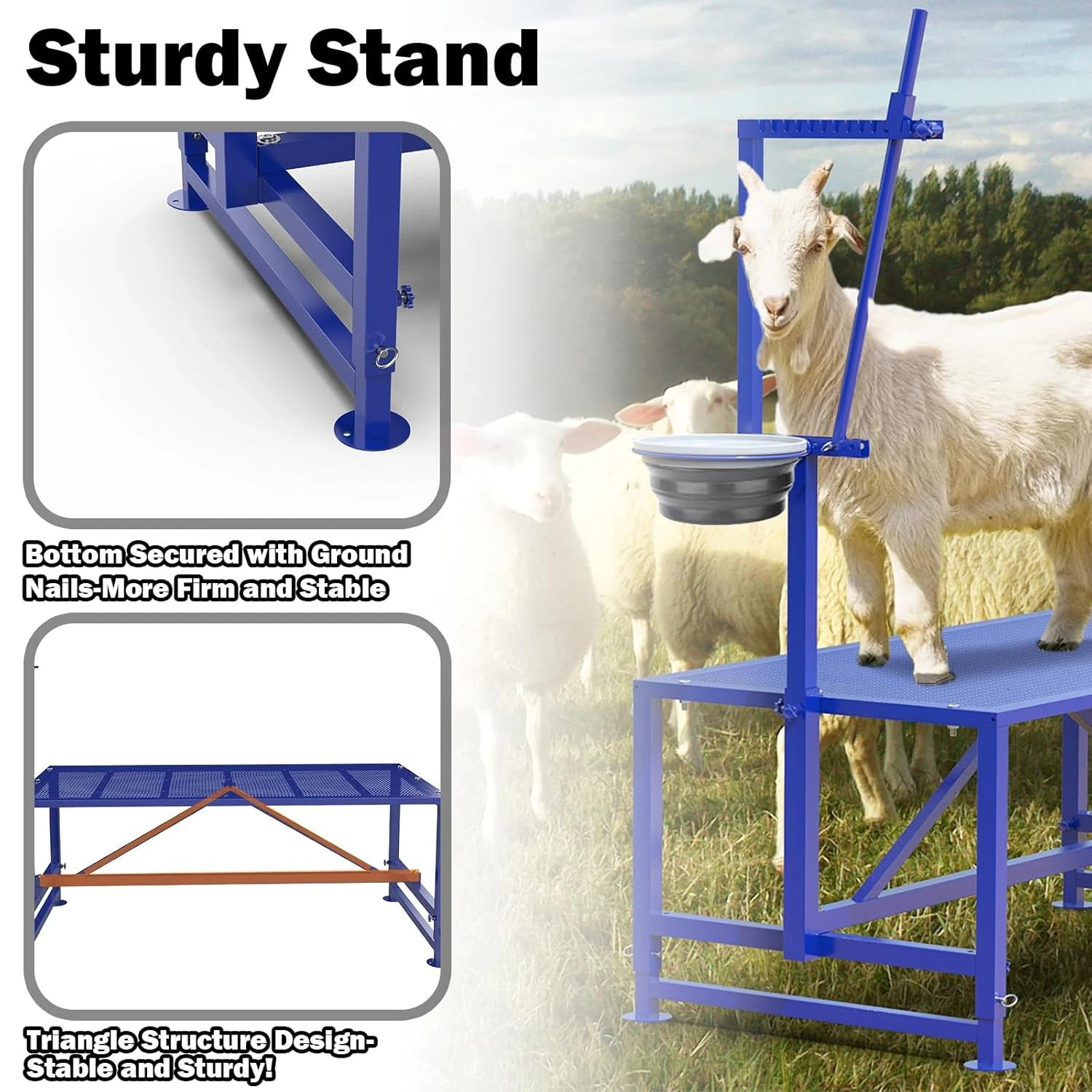 600 Lbs Goat Milking Stand with Feed Bin, Heavy Duty Goat Stand for Milking, Hoo
