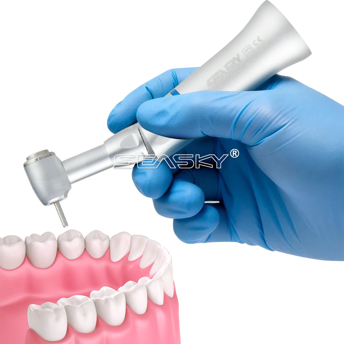 Pieza de mano dental alta velocidad Contra Angulo Fit FG 1.6MM Fresas diamante
