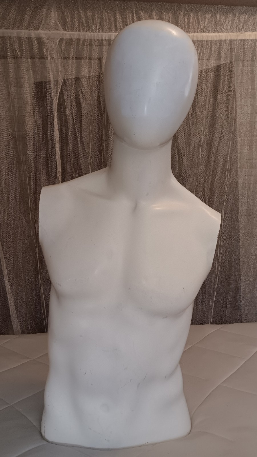 Male Egghead Torso Mannequin – Armless Display Form – Mannequin Like Display