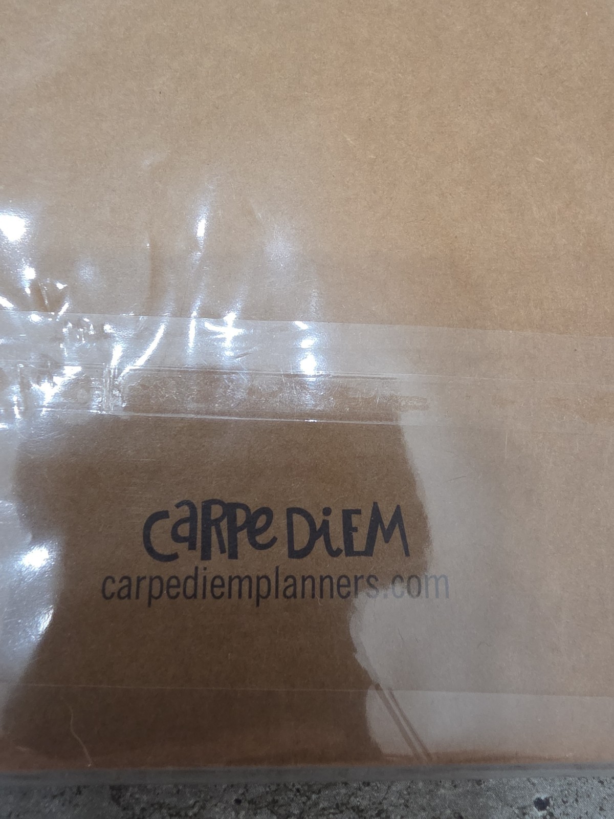 Carpe Diem Traveler’s Notebook Insert Blank Mixed Media Silk Paper 48 Sheets