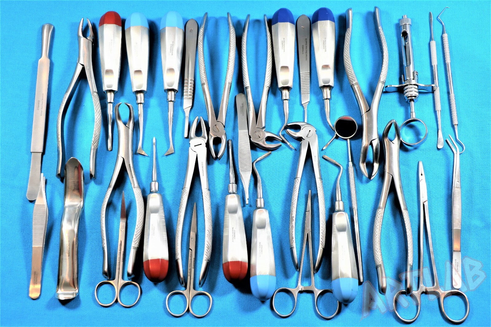 NEW GERMAN 72 PC ORAL SURGERY DENTAL EXTRACTING ELEVATORS FORCEPS INSTRUMENT KIT