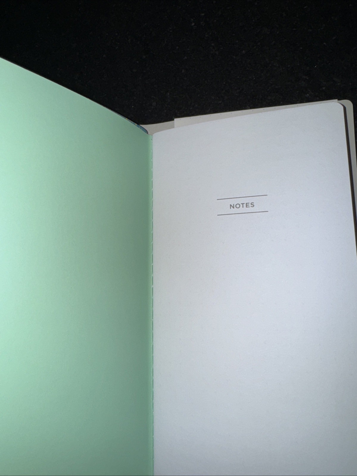 Astrology Multitasker Galison Diary, Journal, Blank Book Undated Monthly Planner