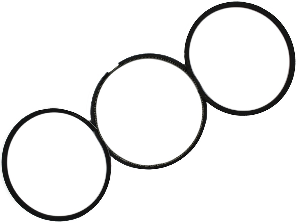 Piston Ring Set (STD – 100.00mm) Compatible With Fiat 55/46-70/56, 1930169, 1908