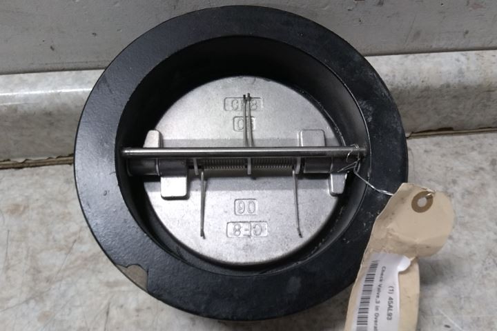 Keckley DD1F-CI-34136-600 6 In Pipe 720 GPM Cast Iron Body Check Valve