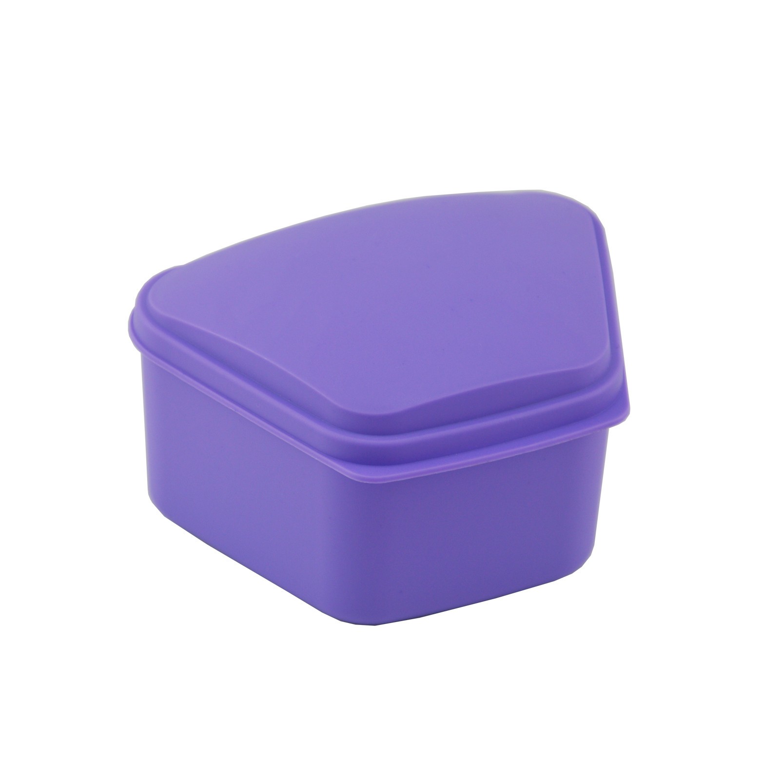 Dental Denture box case carrier assorted color Top Quality Money back guarantee