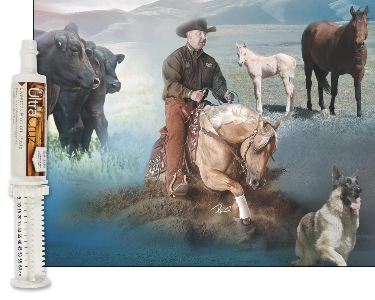 4 Day Supply Paste 60ml – Fast Relief, Easy Use, Effective Results