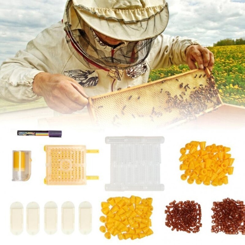Queen Rearing Kit Complete Jenter Queen Rearing Kit for Bee Breeding Beekeeping