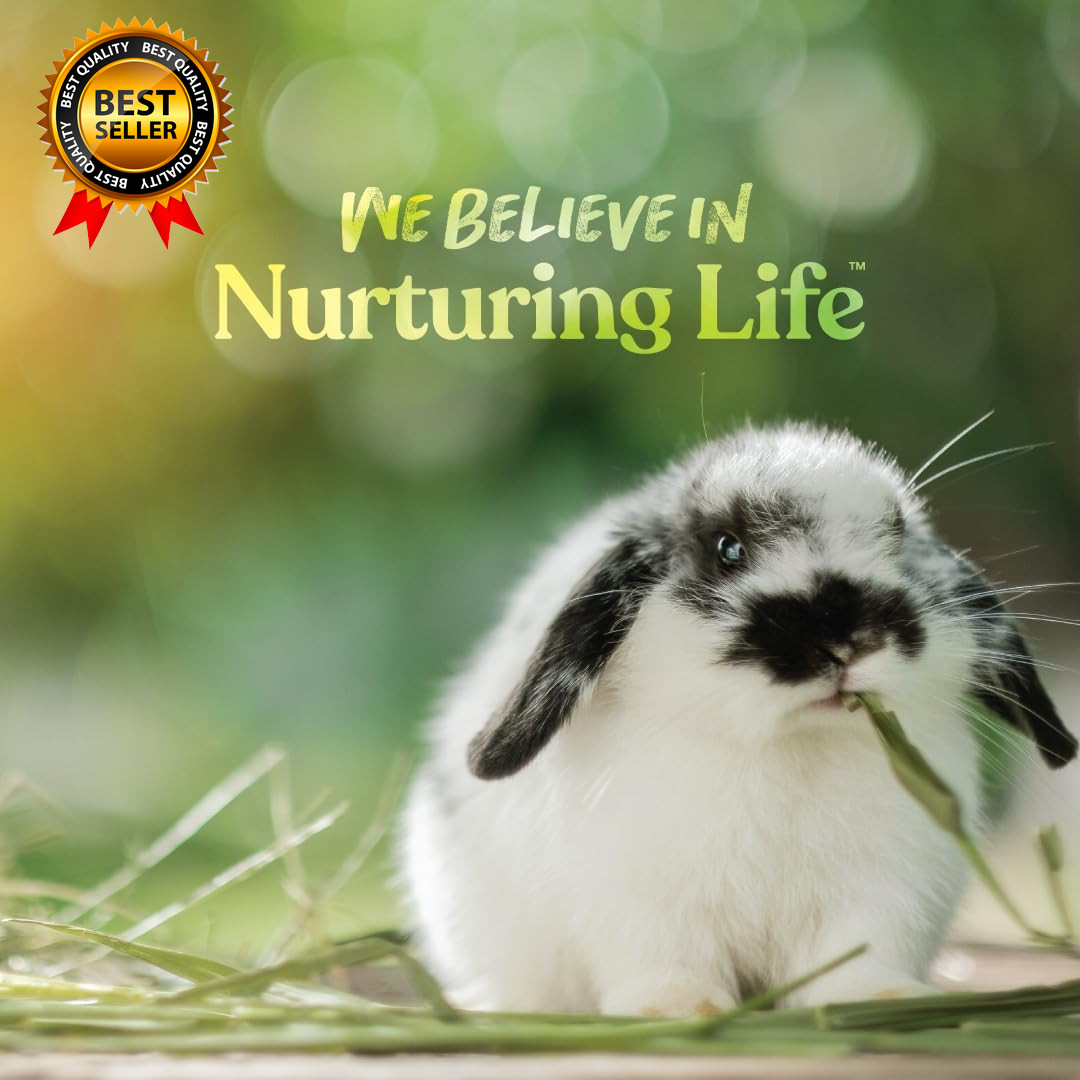 Rabbit Food, Complete Feed, Pelleted Food for Rabbits, Fortified with Essential