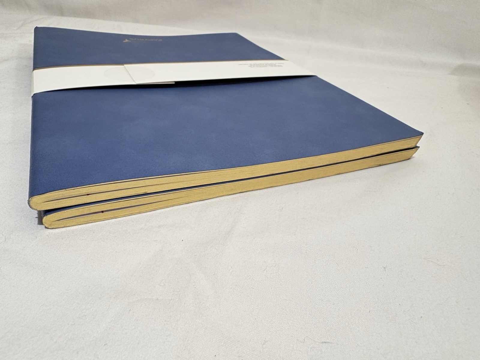Papyrus Set of 2 Stitched Journals, 80 Lined Pages Blue Gold Bird Accent GIFT
