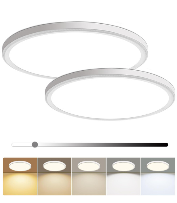 2Pcs/PK 12 Inch LED Flush Mount Ceiling Light 24W 5Color Temperature Adjustable