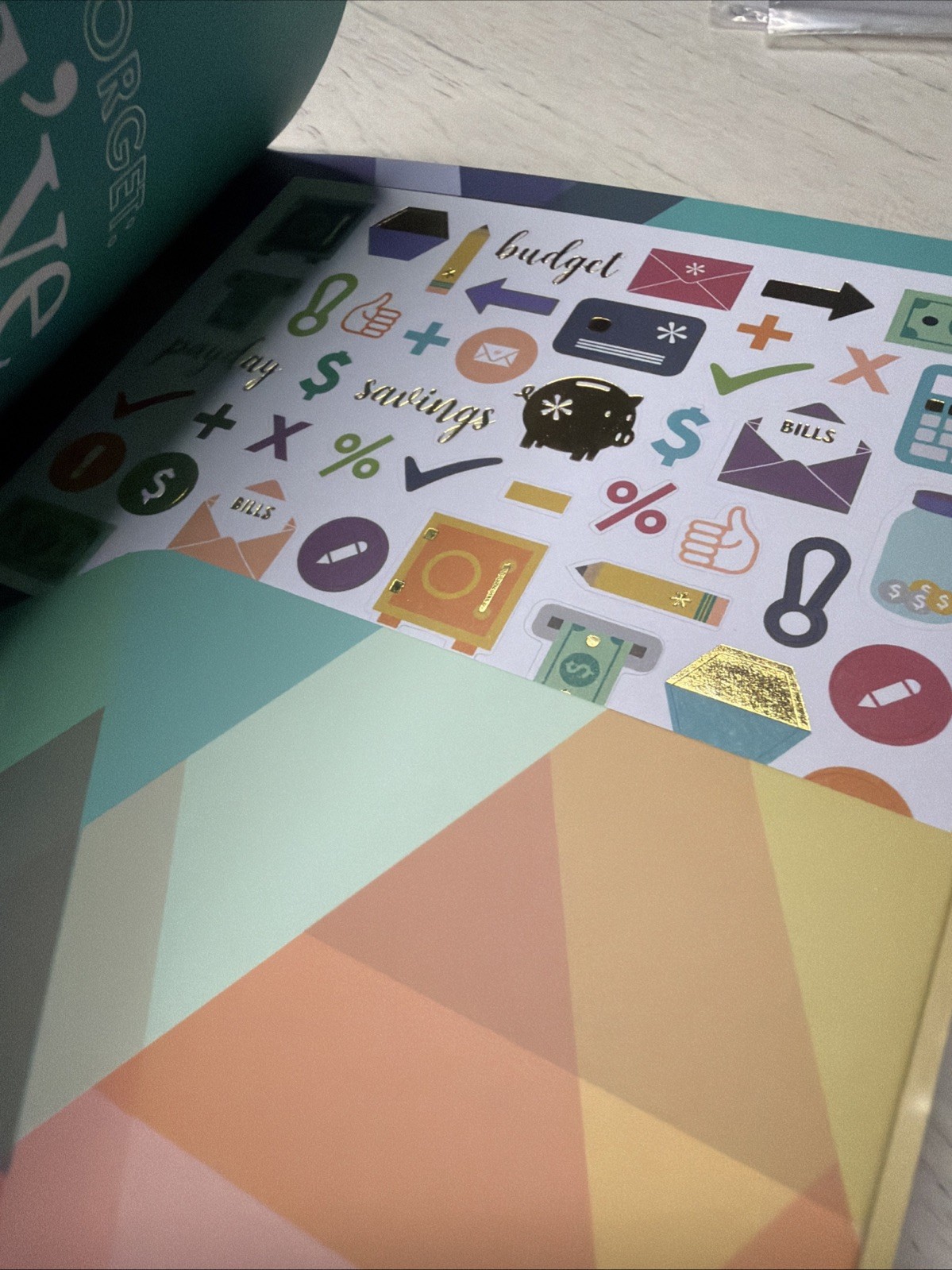 erin condren petite planner Budget Journal Cover Insert Sticker Set Lot Mystery