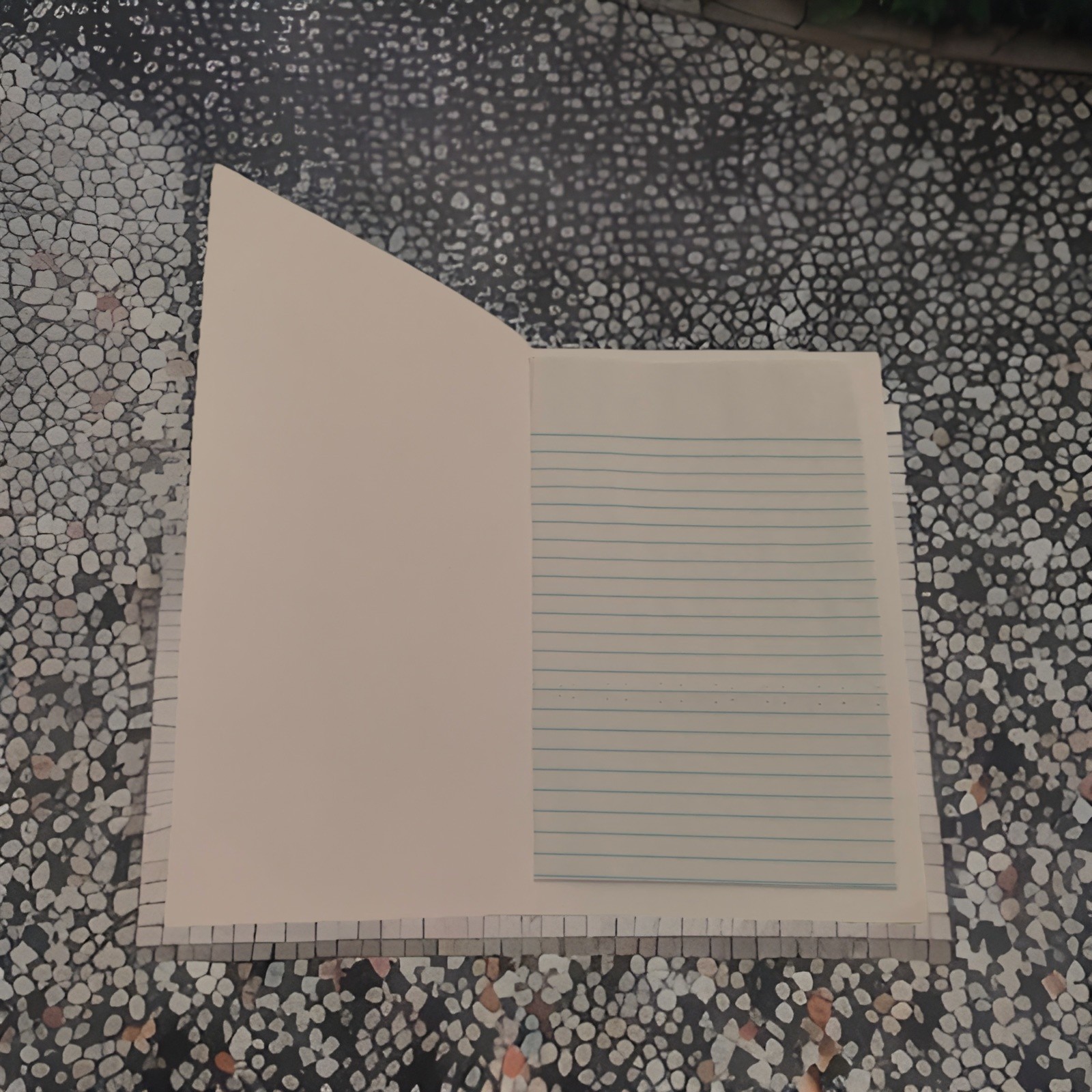 Alpine Meadow Handmade Notebook – Nature-Inspired Blank Lined Journals 2 Sets