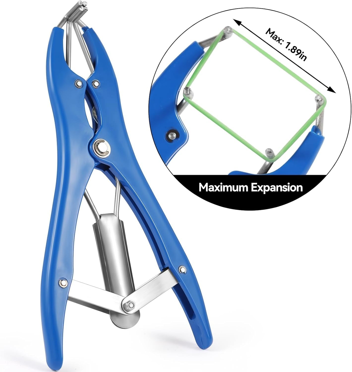 Goat Banding Kit Stainless Steel Bander Tool + 100 Castration Rings Livestock