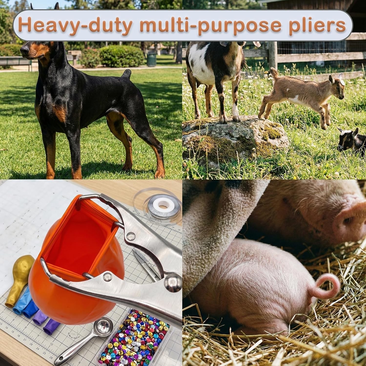 Goat Banding Kit, Livestock Castration Bander with Stainless Steel Expander Plie